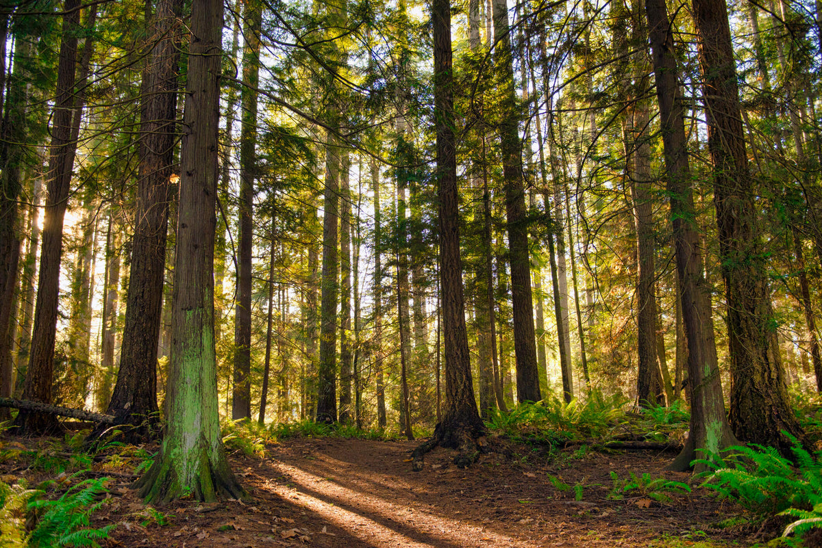 10 Stunning Hiking Trails In Toronto With Amazing Views – Red Equipment ...