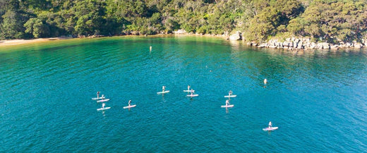 Early Morning Paddle Boarding in Sydney at Q Station