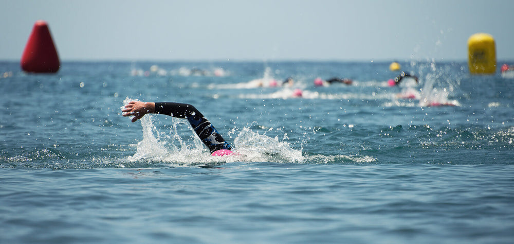 group of swimmers wild sea swimming in wetsuits