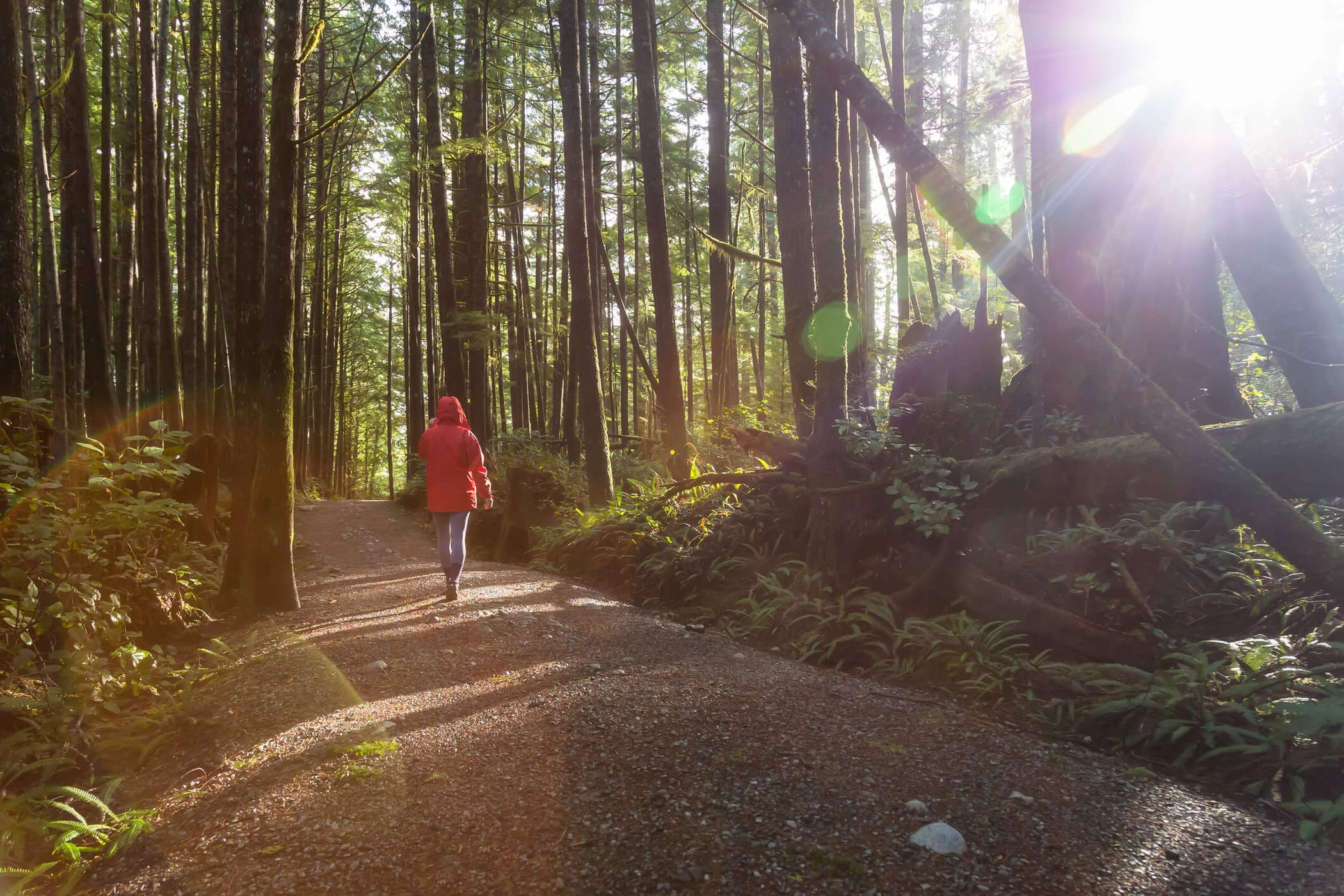 10 Extraordinary Routes & Trails For Hiking Near Montreal
