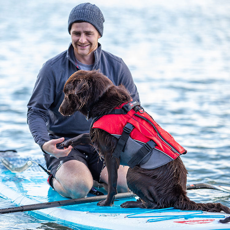 Red Original Dog Buoyancy Aid Red Grey Red Equipment ROW