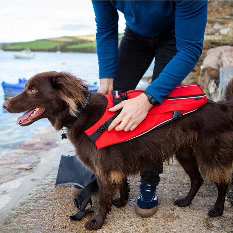 Dog Buoyancy Aid Red/Grey