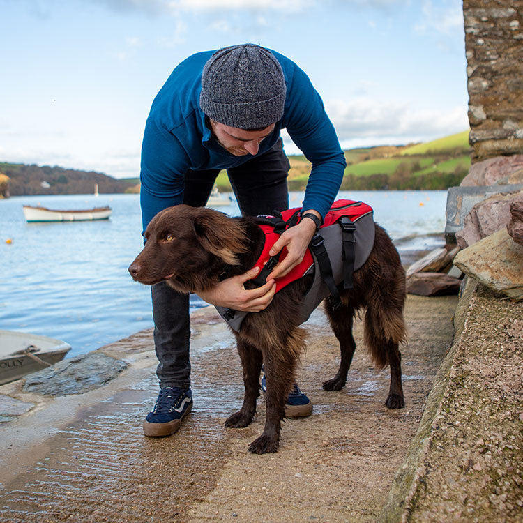 Dog Buoyancy Aid Red/Grey