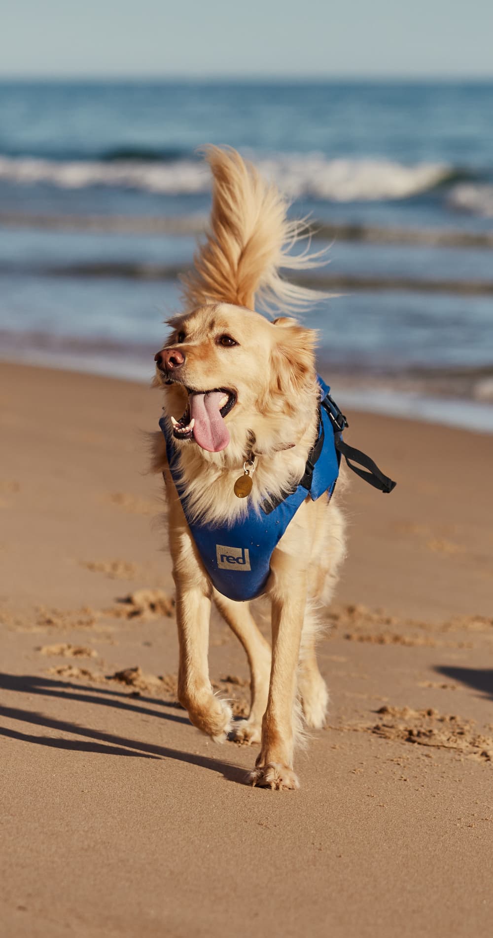 Red Equipment Dog Buoyancy Aid Blue – Red Equipment ROW