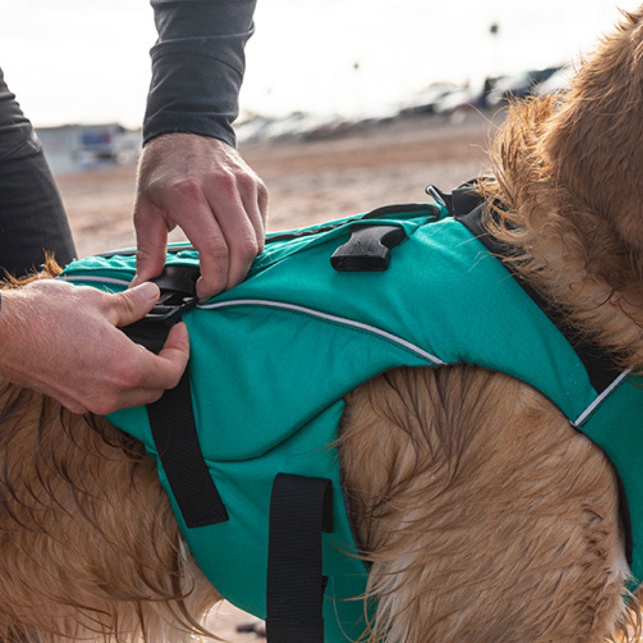 Dog Buoyancy Aid - Green