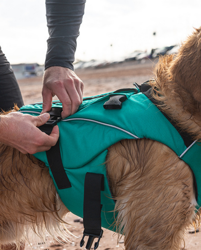 Dog Buoyancy Aid - Green